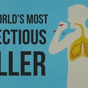 What Makes Tuberculosis TB The World S Most Infectious Killer Melvin Sanicas