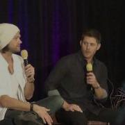 DallasCon 2013 J2 Panel 2 4