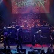 Suffocation Bind Torture Kill Live In San Francisco November 24 2023