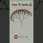 Tree Turtle Python Shorts Python Trending Turtle Tree Viral Codewithharry College