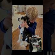 More Than Just A Stuffed Animal MyPetsies