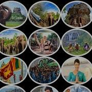 Responsive Image Gallery Using CSS Grid
