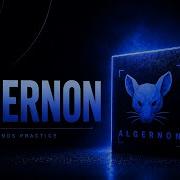 Algernon Proving Grounds Practice Offsec Tj Null V3 MS 30