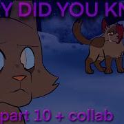 Mary Did You Know Part 10 Collab With Flamedash