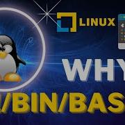 Shell Scripting Tutorial For Beginners Create Your First Shell Script In Linux