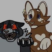 Mothwing The Shadowclan Cat