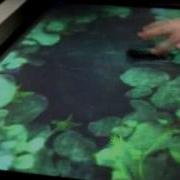 SenseMultitouch Demo