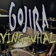 GOJIRA Flying Whales Drum Cover