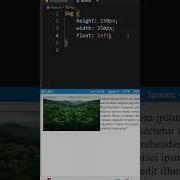 CSS Float Property For Beginners