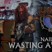 NAILBOMB Wasting Away Live At Bloodstock Open Air 2025