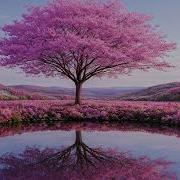 Markus Schulz In Bloom 2026 10th Edition Emotional Vocal Trance Progressive Mix