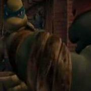 Broken Raph And Leo