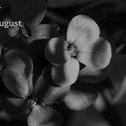 Kimberly August Wallflower