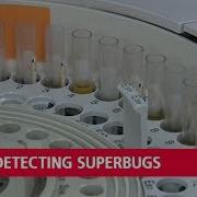 New Superbug Detecting Method Developed By Korean Researchers