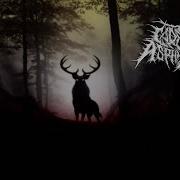 CADAVERIC ASPHYXIATION Catastrophic Extinction OFFICIAL VIDEO