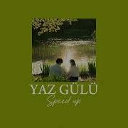 Yalın Yaz Gülü Speed Up