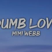 Mimi Webb Dumb Love Lyrics