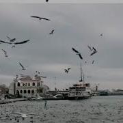 Hirai Zerdüş Duy Beni 2019
