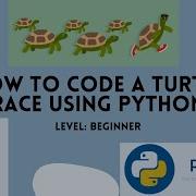 Coding A Turtle Race In Python