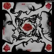 Red Hot Chili Peppers The Power Of Equality