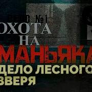 Охота на маньяка как было раскрыто дело Лесного Зверя