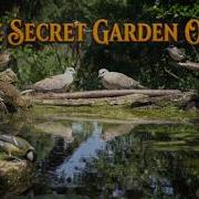 Relaxing Bird Bath Moments With Nightingale Wild Birds 4K Nature Sounds