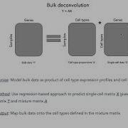 Deconvolution Of Bulk Proteomics Using Single Cell Ahmed Youssef SysMod Poster ISMB 2022