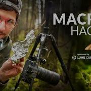 7 Macro Photography Hacks In 90 Seconds