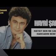 HAYRİ ŞAHİN HAYAT SEN NE ÇABUK HARCASIN BENİ