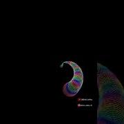 Round 3 Circle In Python Shorts Kgf Python Ahvi Official Coding