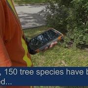 Tree Inventory