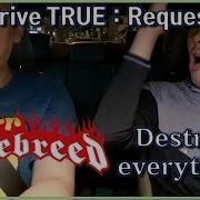 Drive TRUE Reaction 신청곡 Hate Breed Destroy Everything