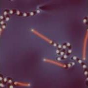 Dynamic Solitons And Worms