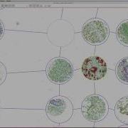 QuPath In 5 Minutes