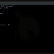 Difference Between Shell Variables And Environment Variables In Linux Alias In Linux