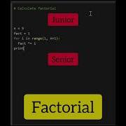 Junior Vs Senior Python Developer Shorts Python Programming Coding