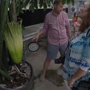 Corpse Flower Time Lapse