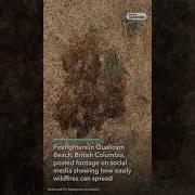 This Is How Easily Wildfires Can Spread