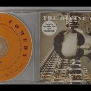The Divine Comedy Something For The Weekend