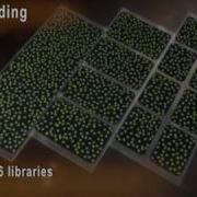 SOLiD DNA Sequencing