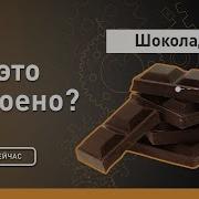 Шоколад Как это устроено Discovery