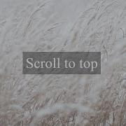Scroll To Top Button With Scroll Indicator