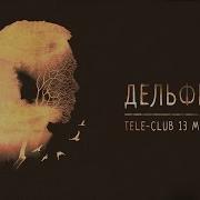 Дельфин 13 03 15
