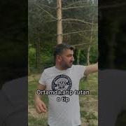 İnanmıyosan Aha Dayıya Sor Keşfet Keşfetteyiz Shorts