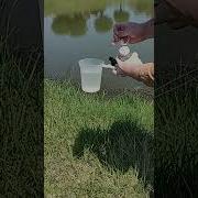 Ag Water Testing Pond Sampling