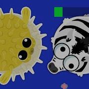 Rare Loody TROLLING For XP In MOPE IO