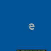 How To Launch Microsoft Edge Webdriver Using Selenium