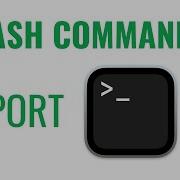 Bash Commands Export Command