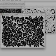 FIJI For Quantification Cell Segmentation