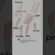 Hands Separation Example Live2d Rigging Tutorial